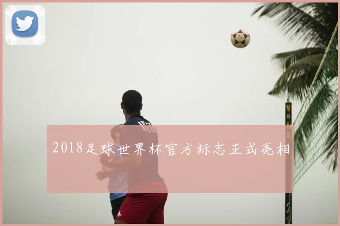 2018足球世界杯官方标志正式亮相