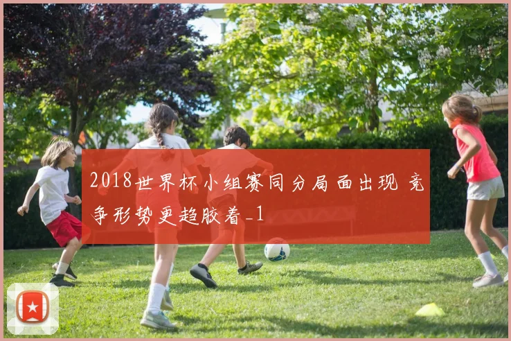 2018世界杯小组赛同分局面出现 竞争形势更趋胶着_1