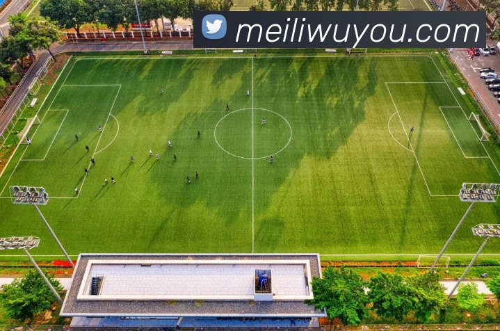 华体育app官网下载(官方)登录入口平台生态图